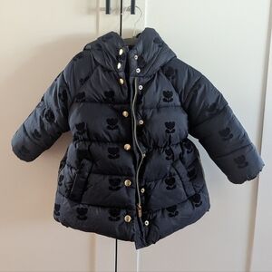 Jacadi Paris Navy Toddler 3T Puffer Coat With Hood